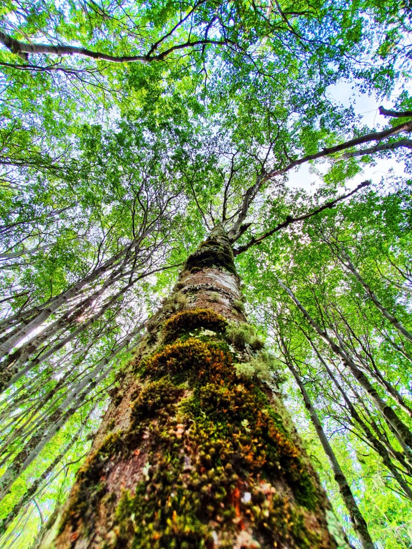 Foto Patagonia Villa Lodge 10